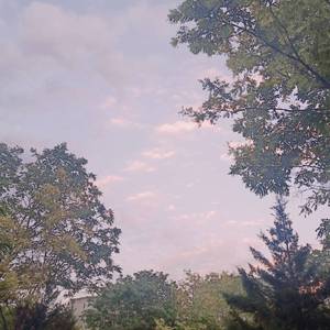 AlettaOcean的最新消息
